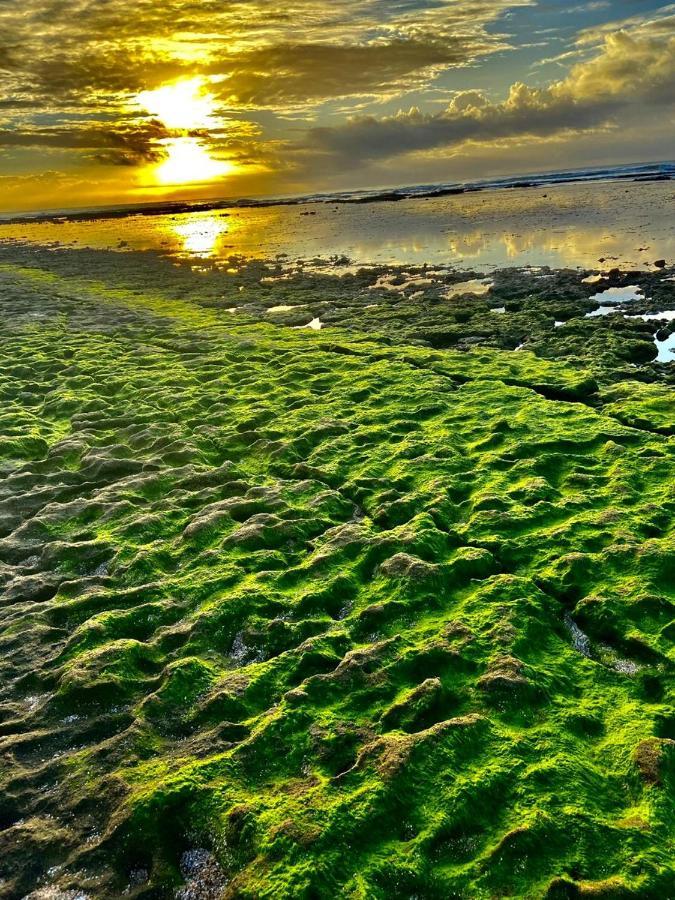 Paraiso Dos Corais Guarajuba Dış mekan fotoğraf