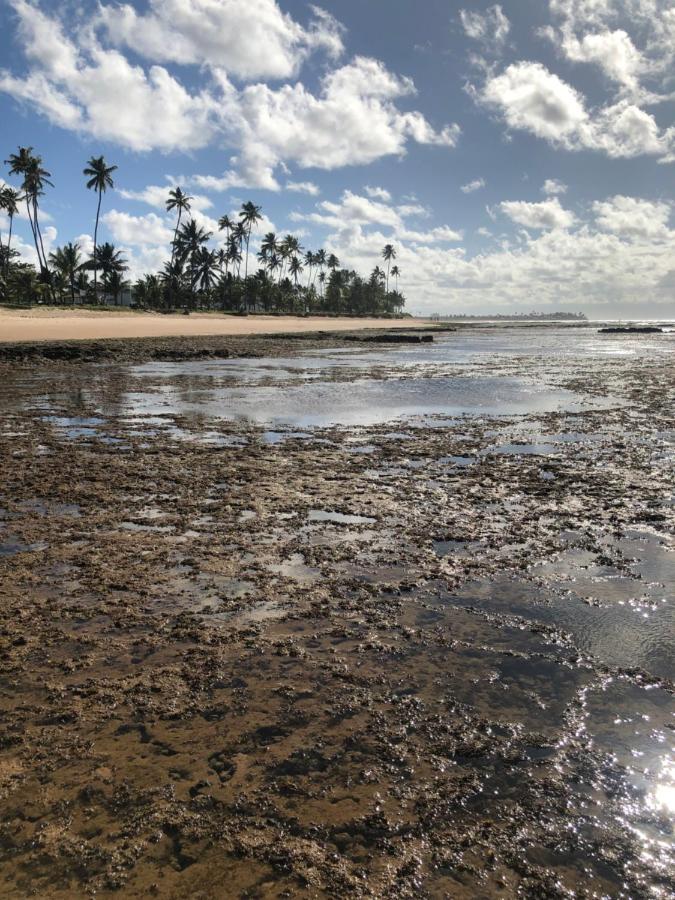 Paraiso Dos Corais Guarajuba Dış mekan fotoğraf
